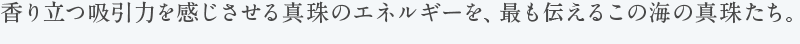 香り立つ吸引力を感じさせる真珠のエネルギーを、最も感じるこの海の真珠たち。 Ise Shima White Pearl Items